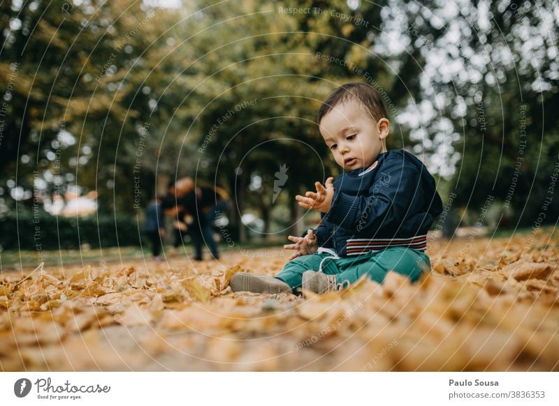 Toddler playing with autumn leaves Caucasian 1 - 3 years Day outdoors Autumn Authentic Autumnal Autumn leaves fall falling Nature Infancy Autumnal colours