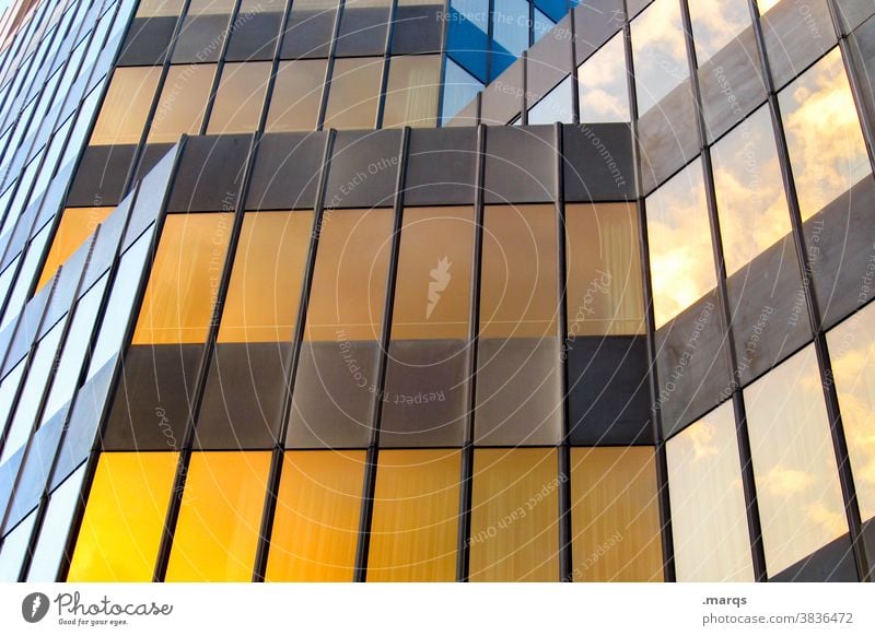 façade Building Facade Metal Brown Yellow Sharp-edged lines Modern Architecture High-rise Reflection Manmade structures Glas facade Window Office building