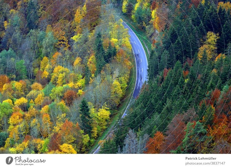 Autumn loop autumn mood trees Forest Street from on high Vantage point outlook Forest path Upper Danube valley travel Tourism Baden-Wuerttemberg Germany Europe