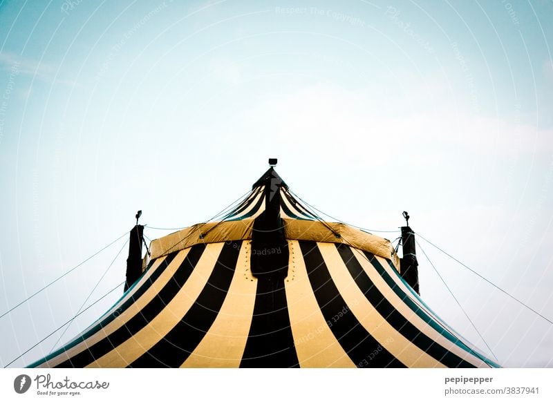 circus tent Circus tent Tent tarpaulin Exterior shot Colour photo Deserted Fairs & Carnivals Leisure and hobbies Sky Event Entertainment Day Shows Culture Roof