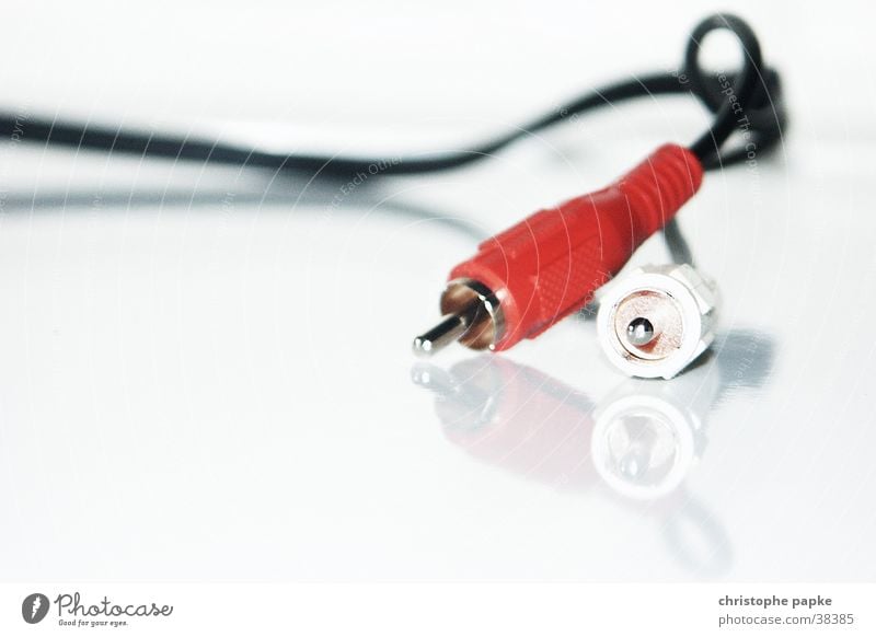 Two chinch cables on reflecting white plate. Cable Electronics Technology Entertainment electronics Connector Music audio output transfer Telecommunications