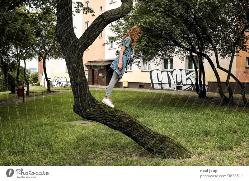 Girl standing on a slanting tree trunk Balance balance obliquely Whimsical Tree Nature Town Contrast fun Playing Tumble down Green jeans 12 years youthful