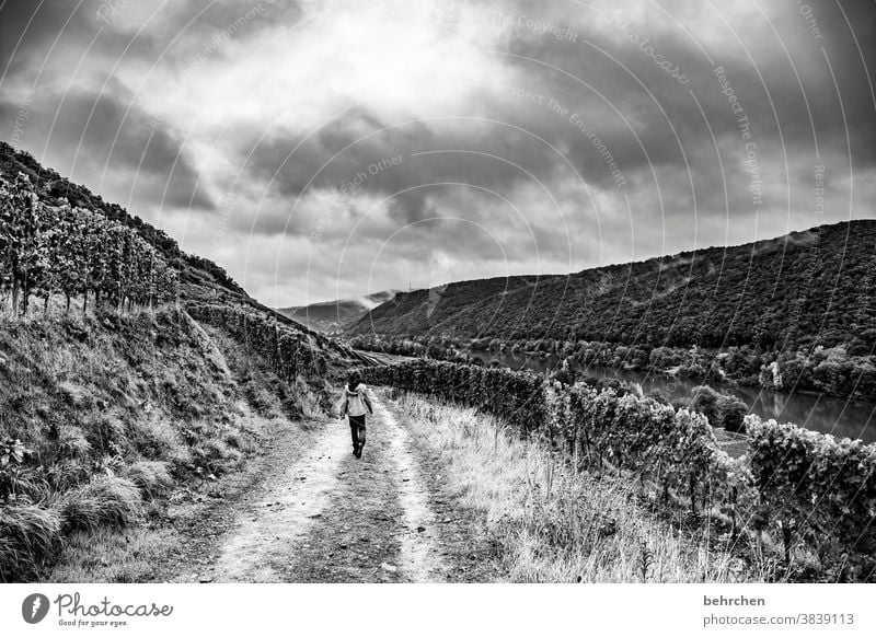 gray in gray | hiking in the rain Dark Dramatic Black & white photo Vacation & Travel Forest Sky Clouds Environment Mountain Landscape Hiking Nature