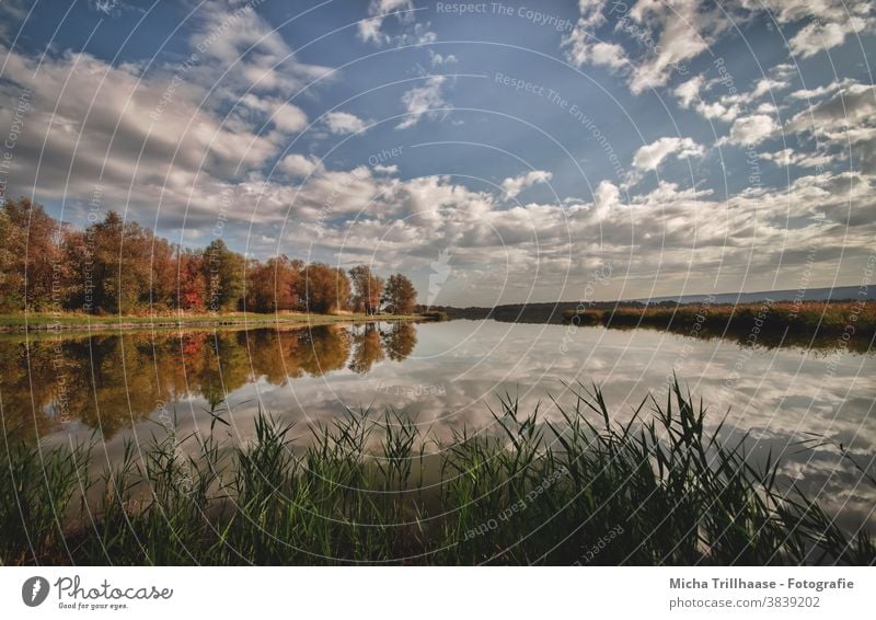 Autumn at the lake Lake Dachwig Thuringia Water Sky Clouds Autumnal Reflections reflections trees bank Autumn leaves reed Nature Landscape tranquillity Idyll