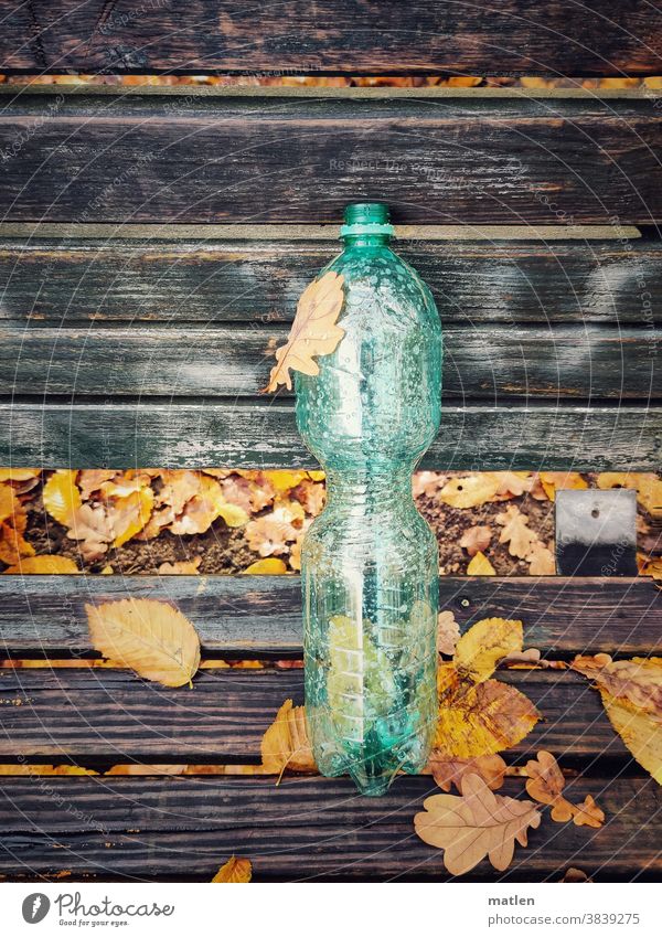 autumn bench Autumn Bench foliage Bottle of water leaves Green Day Exterior shot Gray Brown Forget Colour Deserted mobile