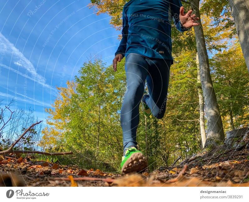 Jogging in autumn Walking trail Autumn Autumnal Forest Sky Woodground Sneakers Tree Worm's-eye view Running Headless sunny sunny day Green Yellow Exterior shot