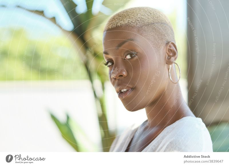 Black woman standing looking at camera relax having fun sunny using female ethnic black african american smile modern unemotional casual young short hair enjoy