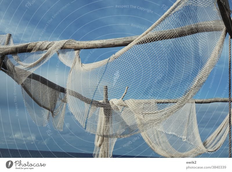 Zingst Fishing net Fishery Hang Patient Dry Flexible Reticular Transparent Exterior shot Detail Pattern Structures and shapes Day Sunlight Copy Space top