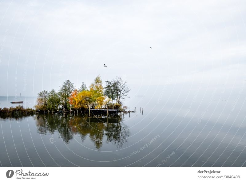 Quiet lake at the Steinhuder Meer with boat Landscape Trip Nature hike Environment Hiking Plant Autumn Acceptance Trust Belief Experiencing nature Autumnal