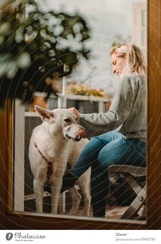 Young woman with white shepherd dog on the balcony Dog Shepherd dog White Affection Love Pet Blonde pretty at home Balcony Flat (apartment) Nature Summer Sun