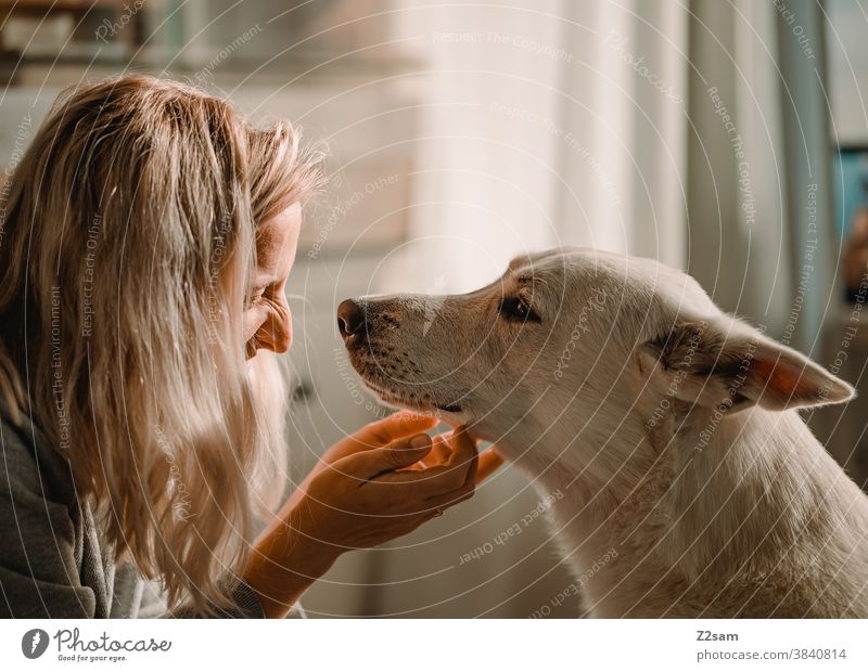Young woman stroking her dog Dog Shepherd dog White Affection Love Pet Cuddling Caress Playing Friendship Together Happy Colour photo Animal Cute Embrace