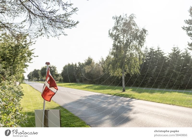 Danish flag on road Denmark Flag Street Deserted Ensign Red Patriotism Pride Politics and state vacation off Tree Blow Exterior shot Colour photo Summer