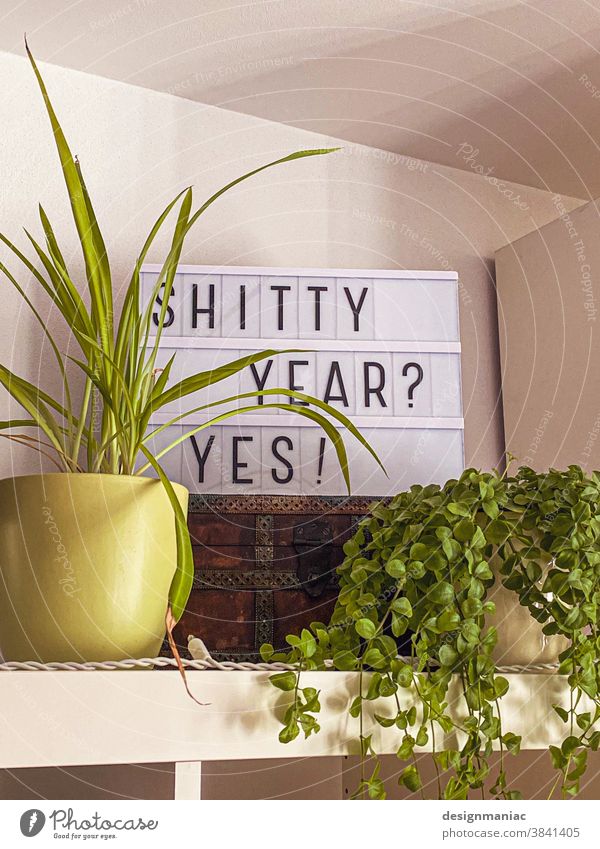 Shitty Year? Yes! typography Signs and labeling Plant Characters Wall (building) Signage Pot plant Yellow Green Treasure Chest Shelves Room Foliage plant White