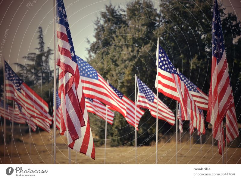 just missed | the election in the USA 2020 Americas Flag flags choice nationalism Many Blow Memory Patriotism dunning memorial symbol banner stars Stripe Pride