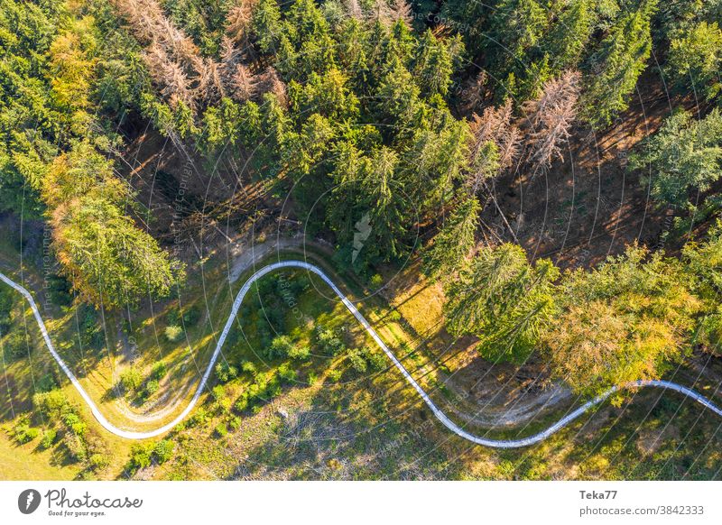 a bobsled run in summer from above summer bobsled sport enjoyment forest needle forest child lone empty curvy
