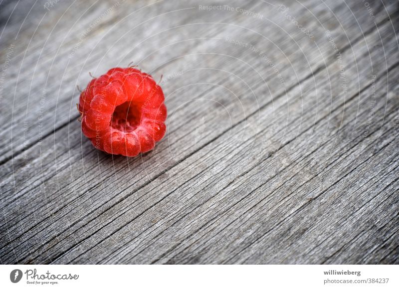 Raspberry on wooden table Food Fruit Wood Diet Fresh Healthy Table Colour photo Exterior shot Detail Macro (Extreme close-up) Copy Space right Copy Space bottom