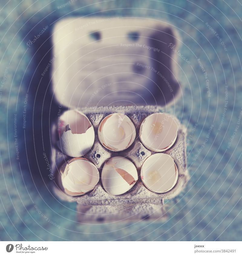 Egg box with empty egg shells, shallow depth of field Eggs cardboard eggs Empty Food Easter Colour photo Interior shot Feasts & Celebrations Baking boil