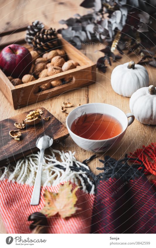 A cup of tea on an autumnally laid table Tea Cup Hot drink Still Life Wool blanket hygge Relaxation Autumn Deserted Beverage Winter Morning Weekend