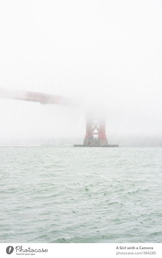 shrouded Environment Nature Summer Bad weather Fog Bay San Francisco San Francisco bay Golden Gate Bridge USA Town Port City Outskirts Tourist Attraction