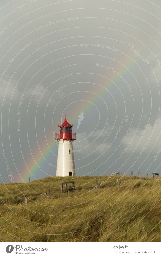 Lighthouse on a green meadow in front of a rainbow Rainbow Meadow Grass Clouds Sylt Fence Raincloud Weather Vacation & Travel Sky Deserted