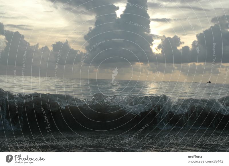 big wave Waves Ocean To break (something) White crest Beach Gale