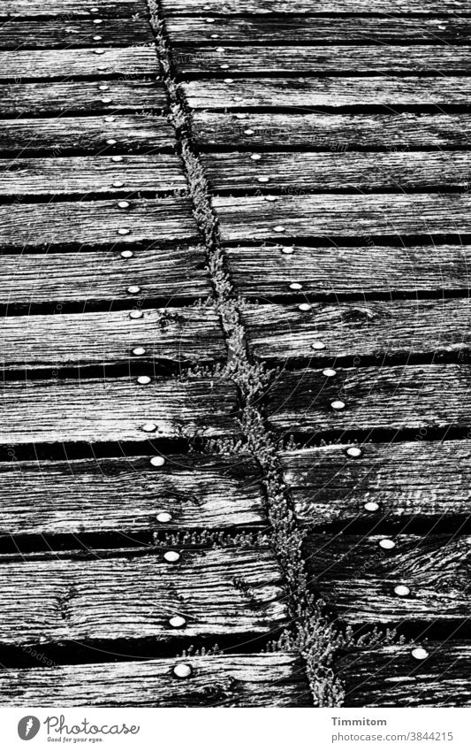 Wooden bridge with some signs of ageing Footbridge Old Moss lines Metal Stud Deserted Black & white photo Exterior shot Brittle