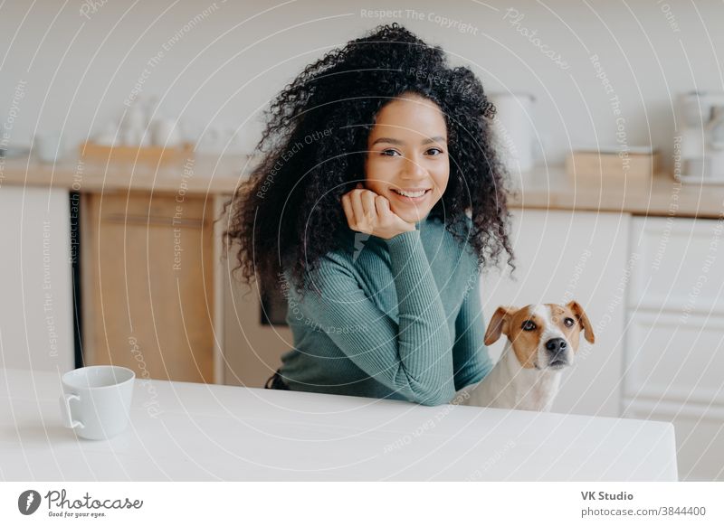 Photo of pleasant looking woman dressed in casual wear, has curly bushy hair, poses against kitchen interior with pedigree dog, has morning coffee, enjoys weekend, smiles pleasantly at camera