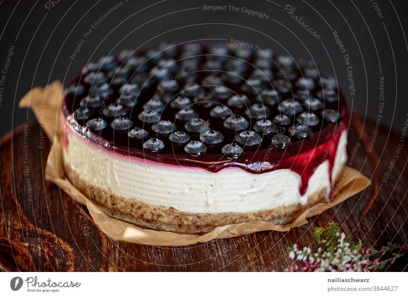 Cheesecake with blueberries cheesecake cheese cake Cheesecake cake Cake studio light Studio shot Colour photo Eating Blueberry Vegan diet Food photograph