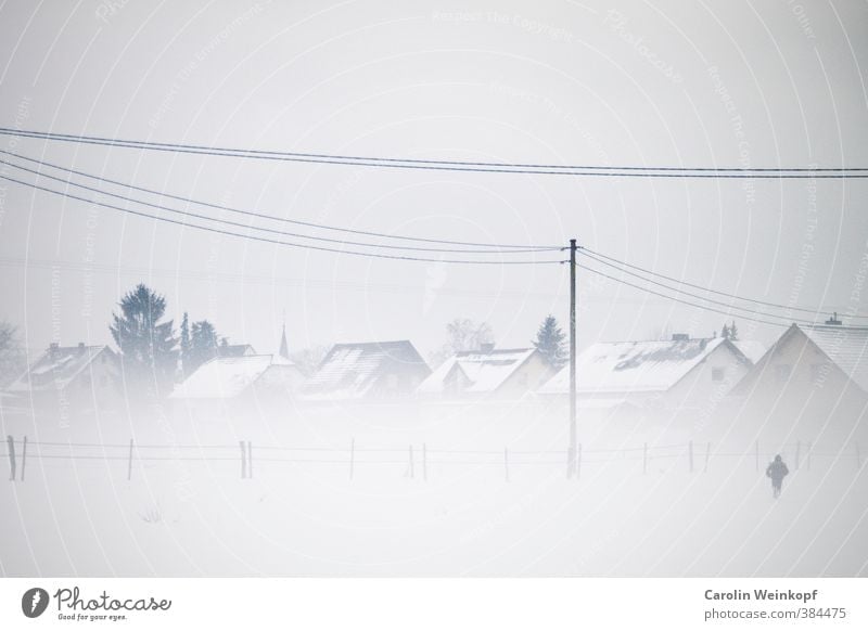Snow flurries. Landscape Sky Winter Fog Ice Frost Snowfall Field Exceptional Cold Gray White House (Residential Structure) Village Germany Electricity pylon