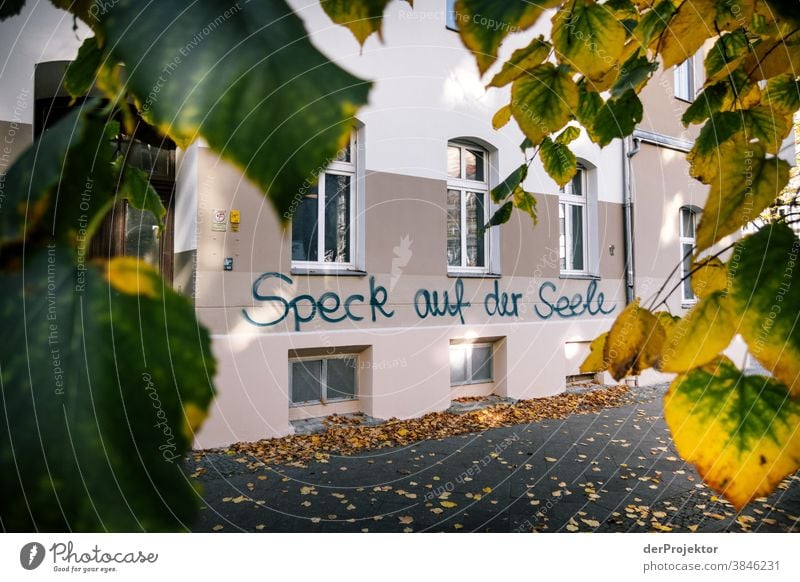 Bacon on the soul: Graffiti in Berlin Trip Nature Environment Sightseeing Plant Autumn Beautiful weather Acceptance Autumn leaves Autumnal colours