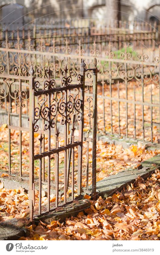 there's always a way out. Cemetery Grave Grief Death Transience Fence border wrought-iron work foliage rusty metal Tomb Sadness Deserted Funeral Autumn