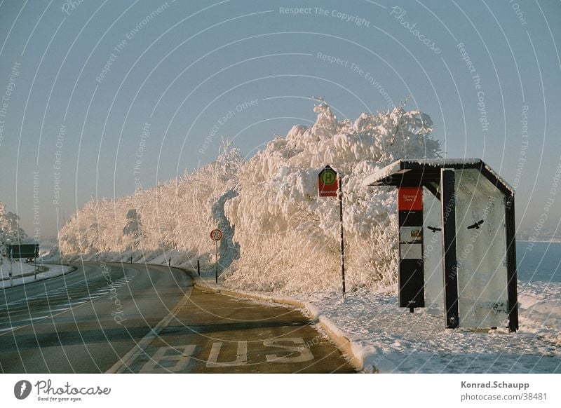 "Cold spot" Winter Bus stop Hoar frost Transport Station Snow Street