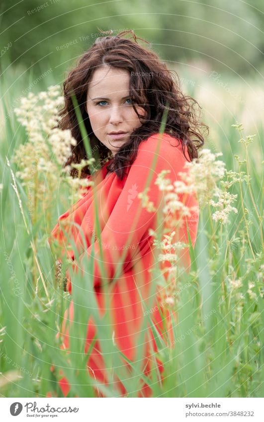 Young woman in the field pretty Woman portrait Adults Long-haired Beauty & Beauty Feminine Hair and hairstyles Face Blouse Field Safety (feeling of) Hope