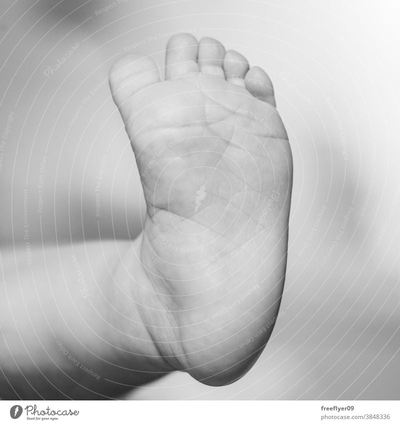 Detail of a toe of a newborn baby detail black and white small tiny mother person beauty skin children human childhood leg infant beautiful life care cute