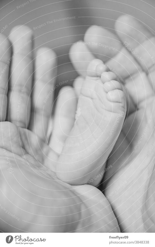 Detail of a newborn toe between her mother's hands baby detail black and white happy health care tender finger skin children safety small tiny human protect