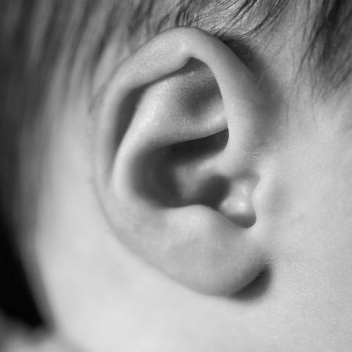 Detail of the ear of a newborn baby detail black and white childhood face pretty toe boy set girl development body healthy young beauty live birth macro