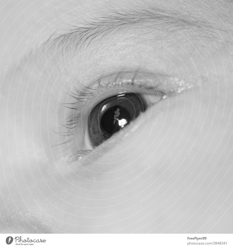 Detail of the eye of a newborn baby detail black and white body part face part children distance young colours human closeup looking photo beauty optical