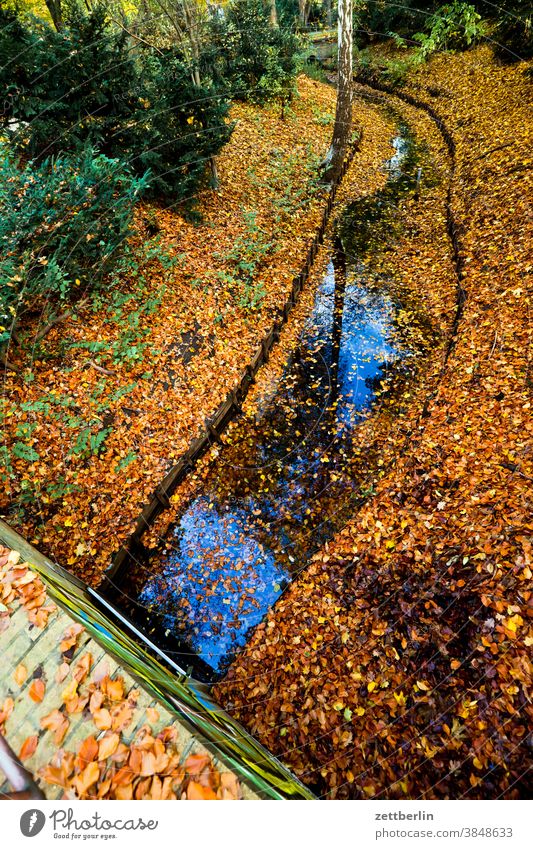 Autumn leaves on a watercourse in the Großer Tiergarten Brook Tree Berlin Bridge bush jungles flow River Body of water large zoo Green Foliage colouring Park