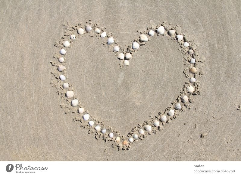 heart beach beachcombing love Love sand sand beach sea shapes shell Shells shore Symbol