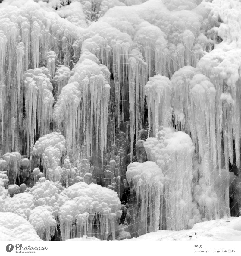 caught in the ice - long icicles at the frozen Radau waterfall in the Harz Mountains Ice Icicle Frozen Frost Winter Waterfall Nature Environment chill Cold