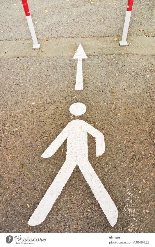 White pictogram of a person on an asphalt road with directional arrow leading through two red-white boundary tubes Pictogram running direction Arrow