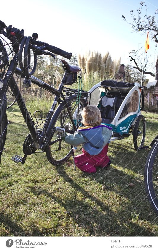 Toddler enthuses about bicycles Bicycle bicycle trailers Curiosity peep take hold of sb./sth. lick chirpy Garden Lawn allotment Garden plot Summer Autumn