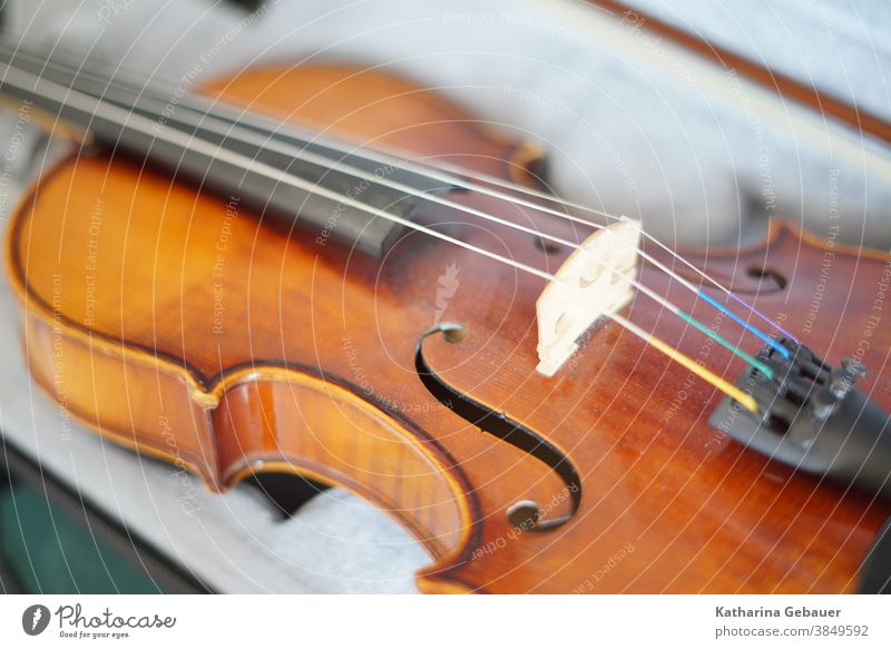 Violin in suitcase violin tool Musical instrument string Musician Orchestra string instrument Concert Interior shot