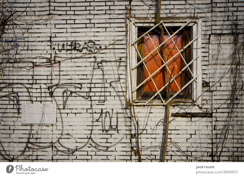 Art on building, graffiti, grating & Co Facade Architecture Window latticed Tags imitation clinker facade Daub zeitgeist Wall (building) Weathered leafless