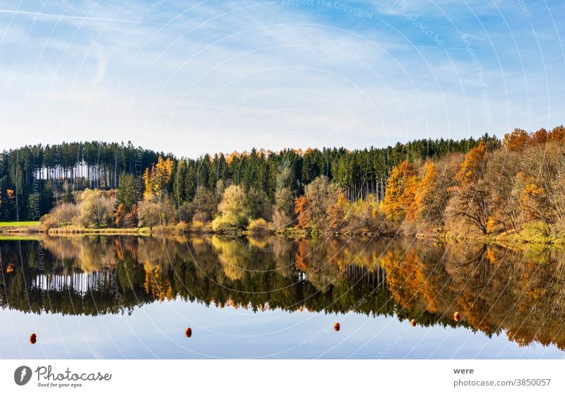 Autumn leaves are reflected in the water of the Windach reservoir in Bavaria autumn color autumn forest autumn leaves bavaria colorful landscape nature