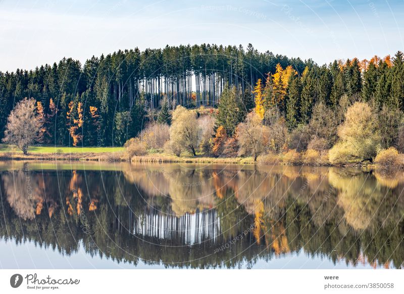 Autumn leaves are reflected in the water of the Windach reservoir in Bavaria autumn color autumn forest autumn leaves bavaria colorful landscape nature