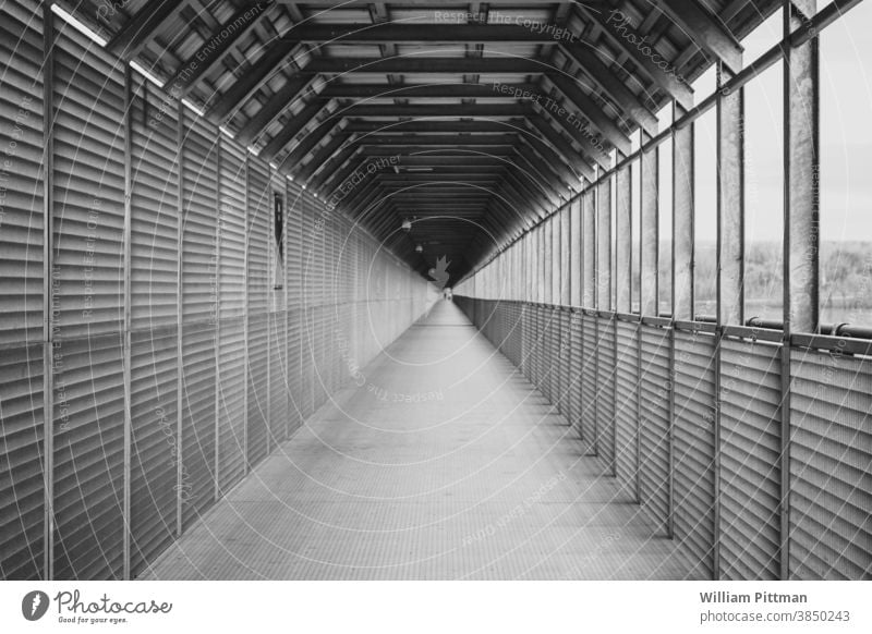 Bridge Tunnel Vanishing point Perspective Empty Tunnel vision Loneliness Symmetry Central perspective Deserted background urban Manmade structures Footpath