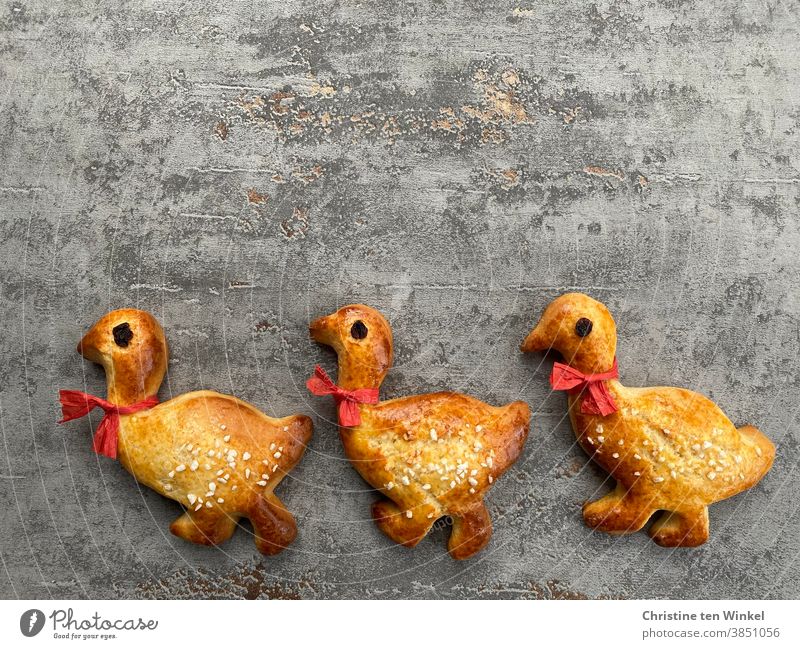Single file...   Three little geese, homemade from sweet dough. Each one has a red ribbon around its neck and a raisin for an eye. Top view. Grey background.