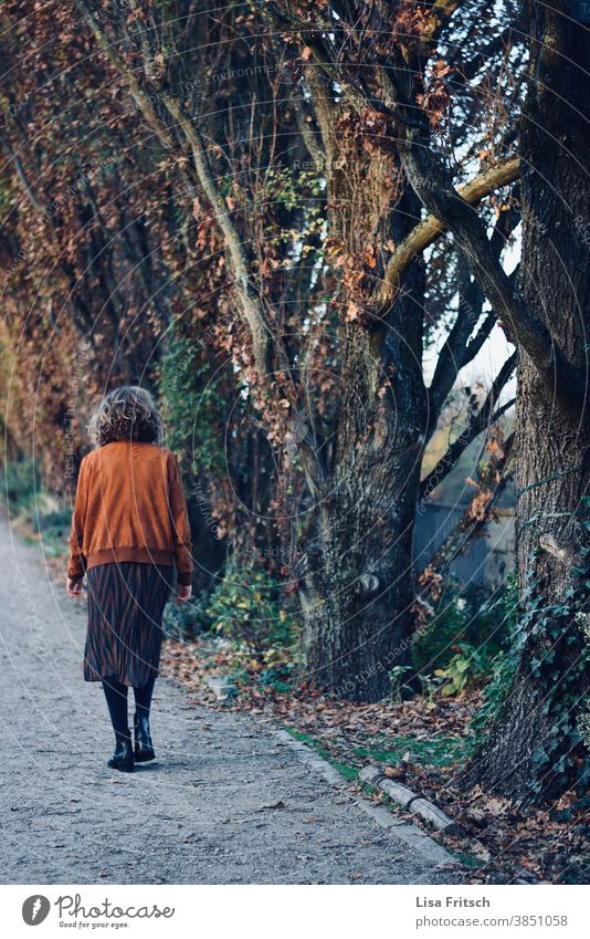 Autumn walk To go for a walk Walk in the nature Nature Exterior shot Day Environment Colour photo trees Brown Woman by oneself Loneliness silent Modern