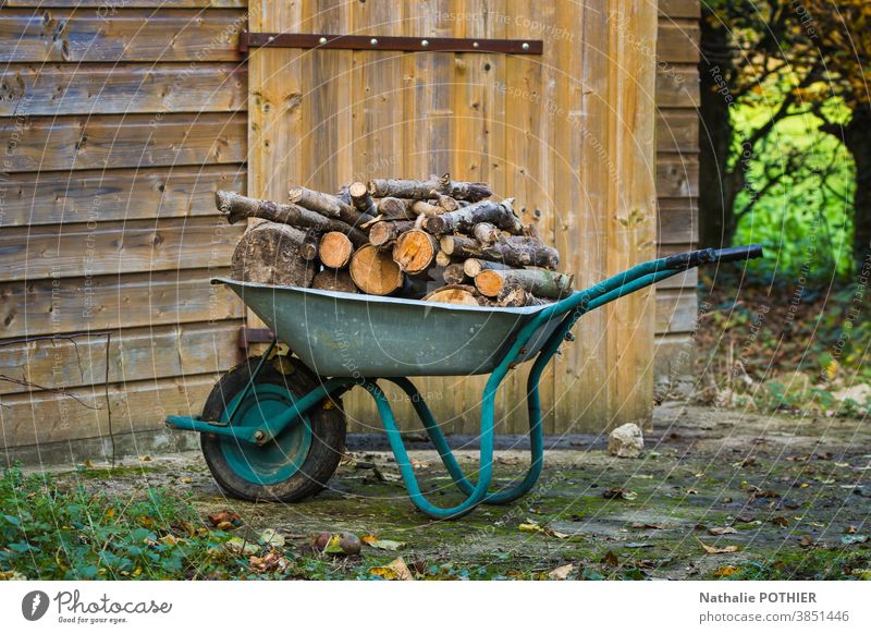 Wheelbarrow filled with firewood forest cut stere heating wheelbarrow to warm up ecological environment shed garden Exterior shot Forest Nature Autumn